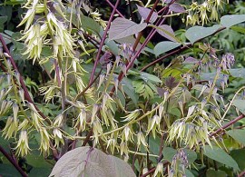 defa020image_39