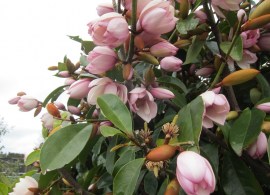 img_6901