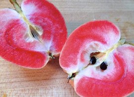 pink-pearl-apple-6be3d44b-bd7f-4b26-899f-aea6bb86e53-resize-750